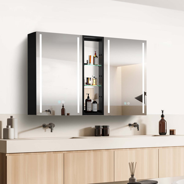 Orren Ellis Surface Mount Frameless 2 Door Medicine